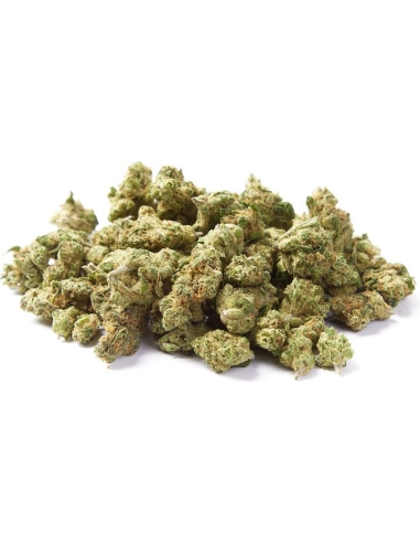 Kaya Mini Buds CBD Zkittlez 10gr (Cannabis Légal)