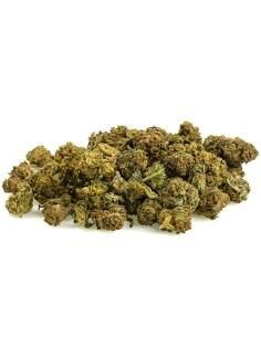 Kaya Mini Buds CBD Lifter A 50gr Outdoor (Hanf Legal)