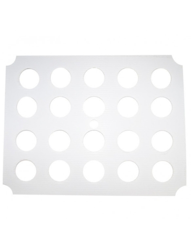 Top Plate X-Stream 20 Pflanze