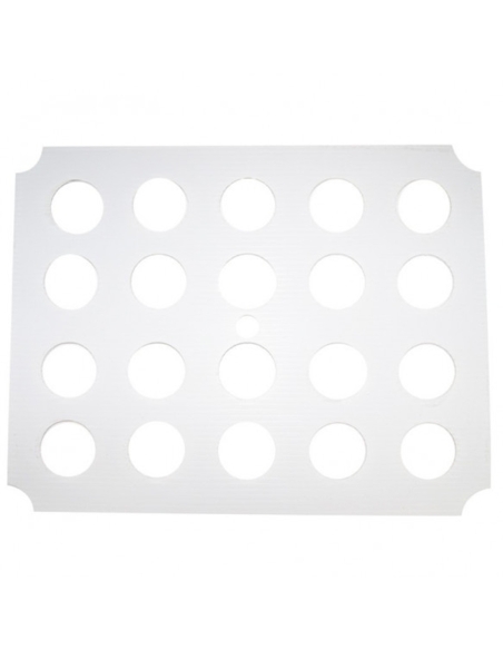 Top Plate X-Stream 20 Pflanze