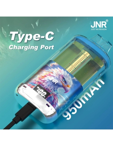 JNR Falcon 30K USB Laden