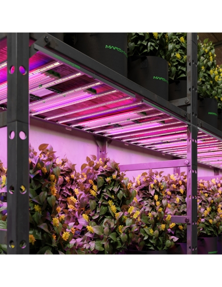 Mars Hydro Adlite RB30 Grow Bloom