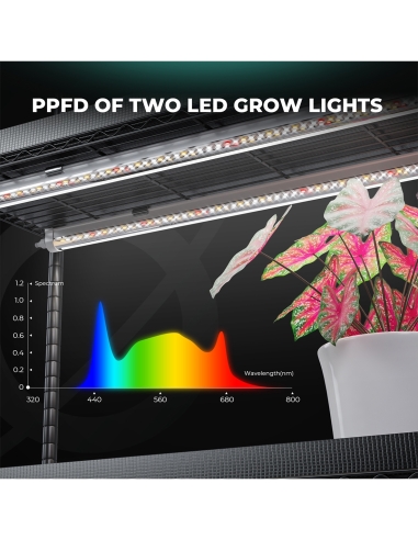 Mars Hydro Plant Stand Propagator