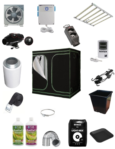 Indoor Komplettset Black Room Premium 240L LED Lazerlite PRO